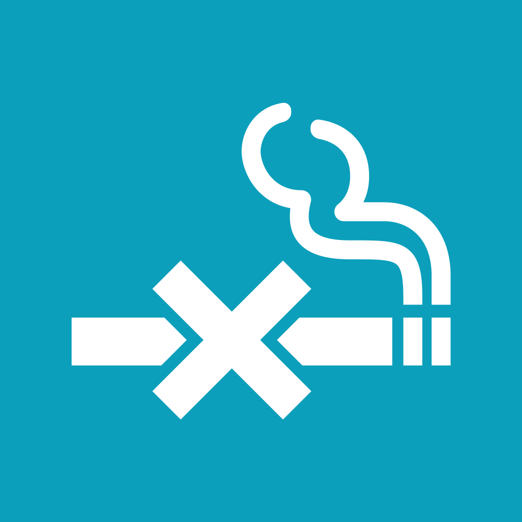 No Smoking No Vaping